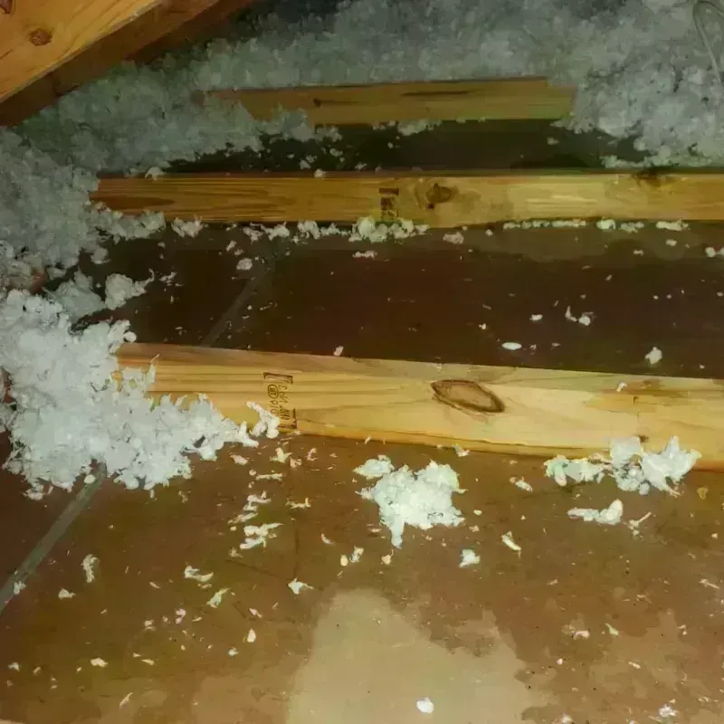 Attic Water Damage in Loretto, PA